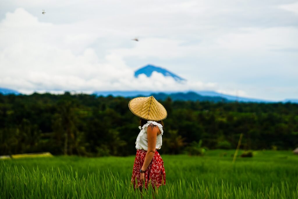 Jatiluwih Bali Ricefield
