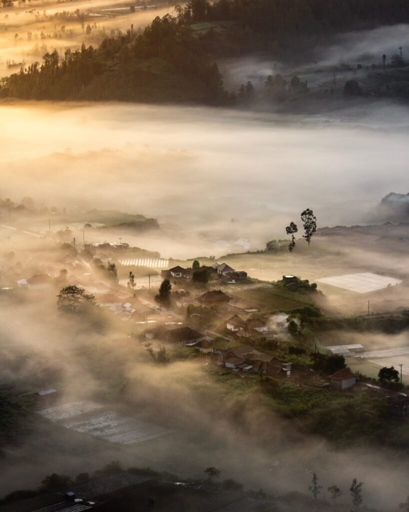 Kintamani Bali