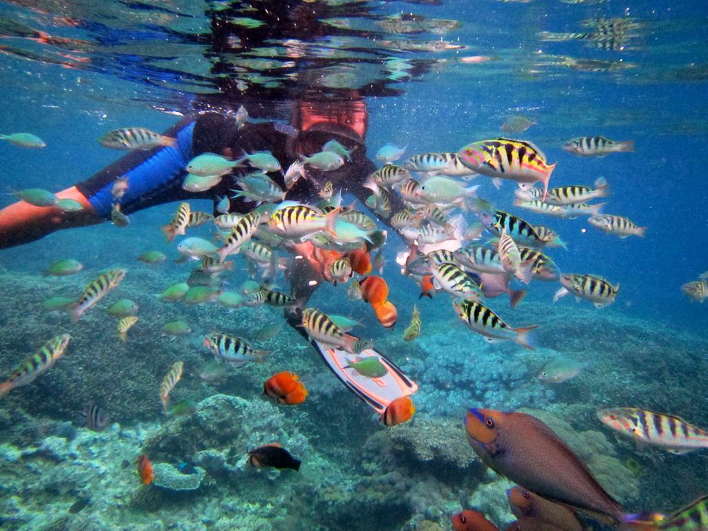snorkeling nusa lembongan bali